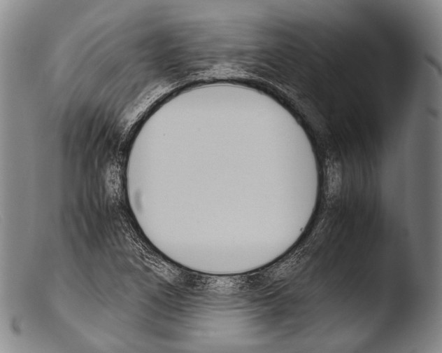 X0000103941266200810311517