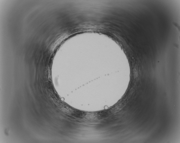 X0000103941267200810311517