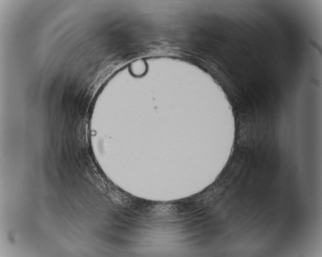 X0000103941268200810311517