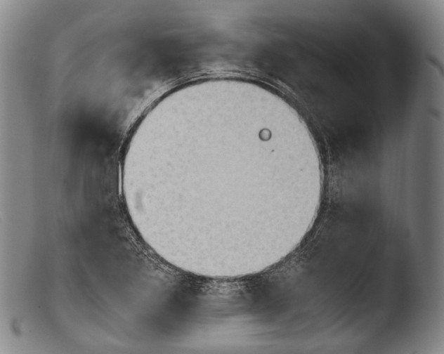 X0000103941269200810311517