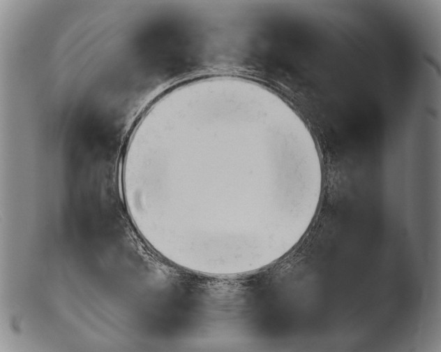 X0000103941272200810311517