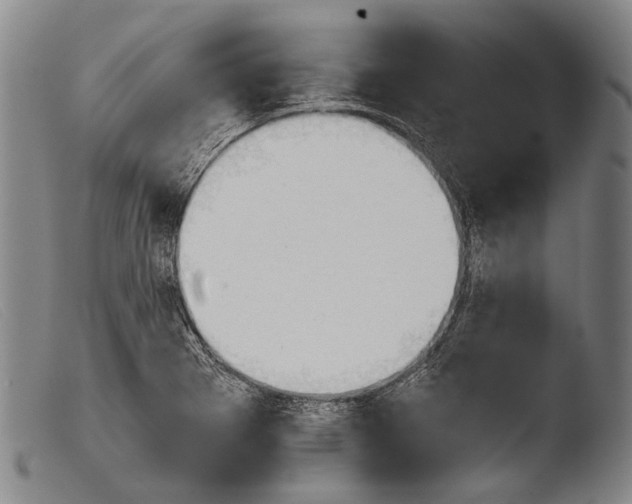 X0000103941273200810311517