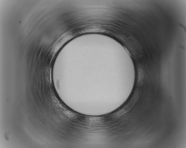 X0000103941274200810311517