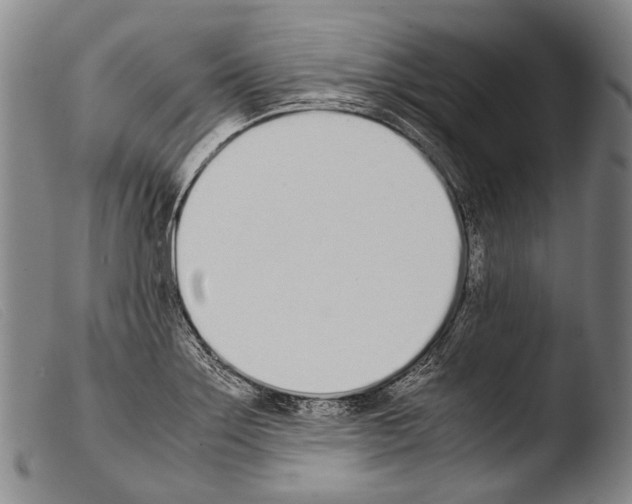 X0000103941275200810311517