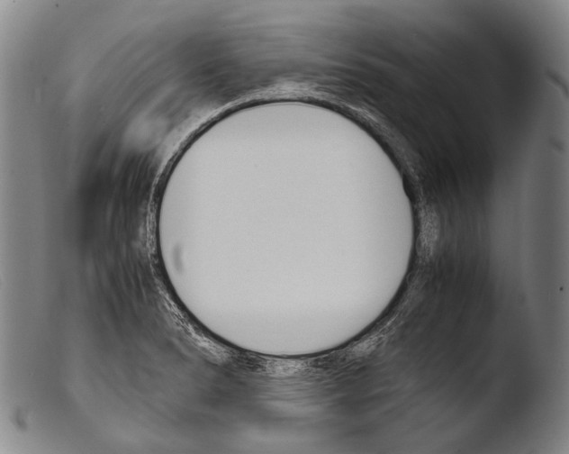 X0000103941278200810311517