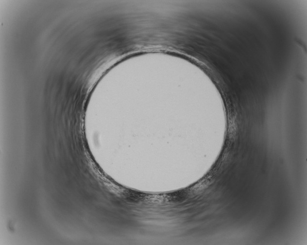 X0000103941279200810311517