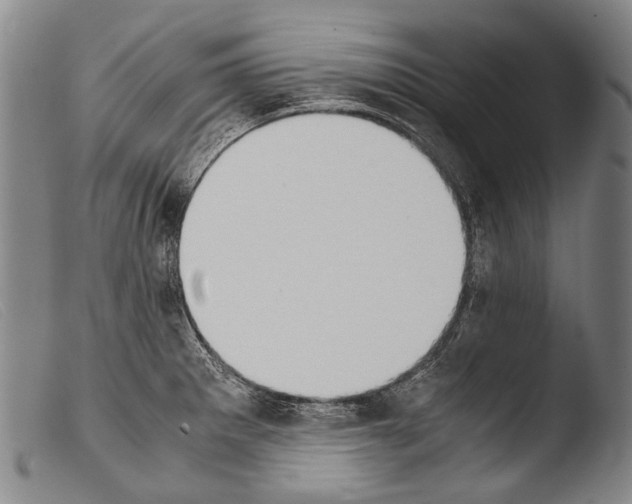 X0000103941281200810311517