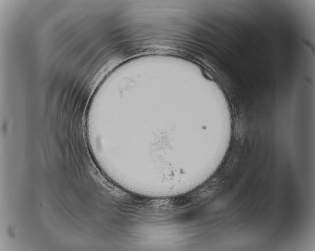 X0000103941283200810311517