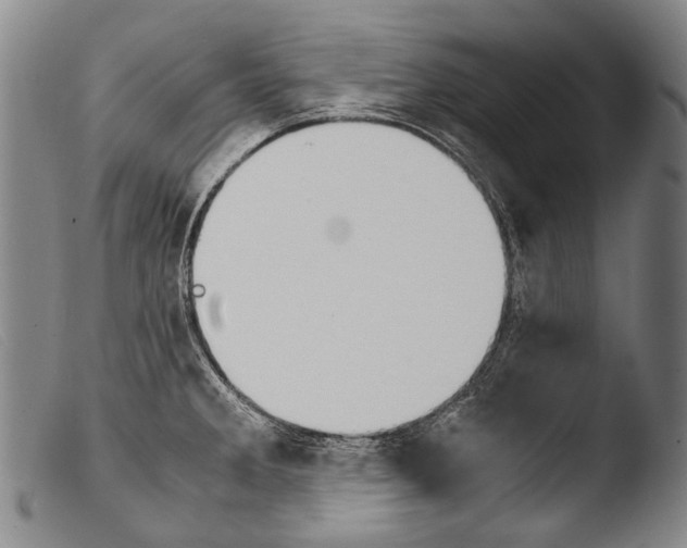 X0000103941285200810311517