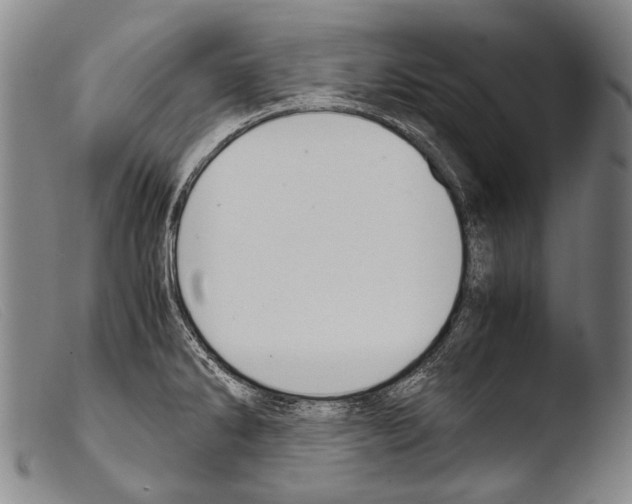 X0000103941286200810311517