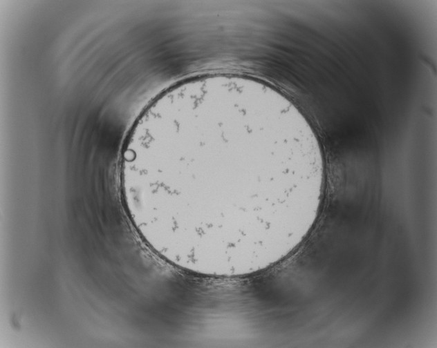 X0000103941288200810311517