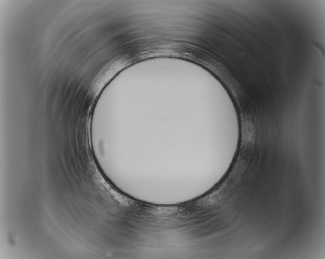 X0000103941290200810311517