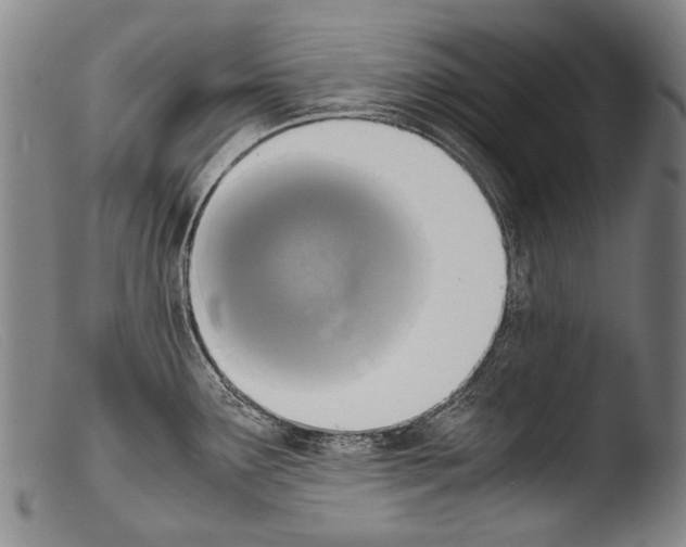 X0000103941291200810311516