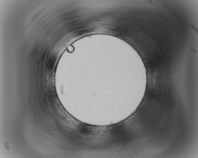 X0000103941292200810311516