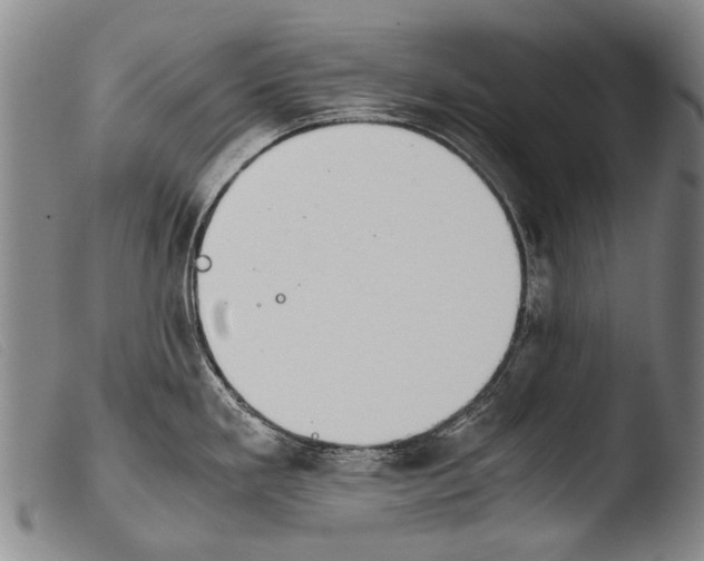 X0000103941293200810311516