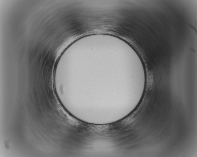 X0000103941294200810311516