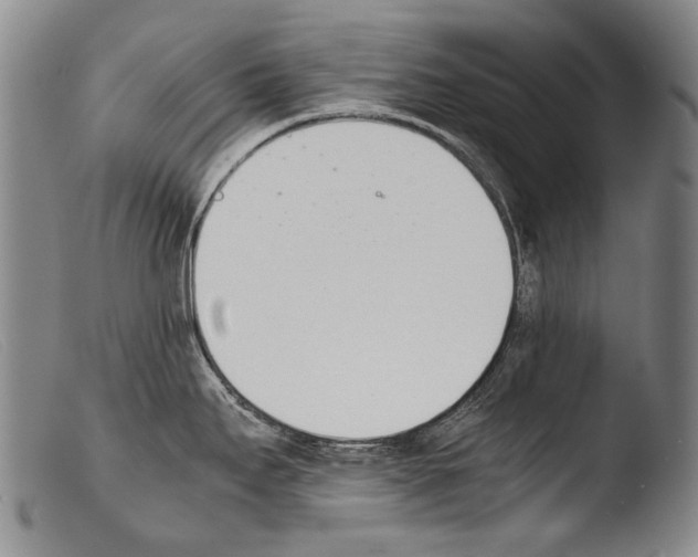 X0000103941295200810311516