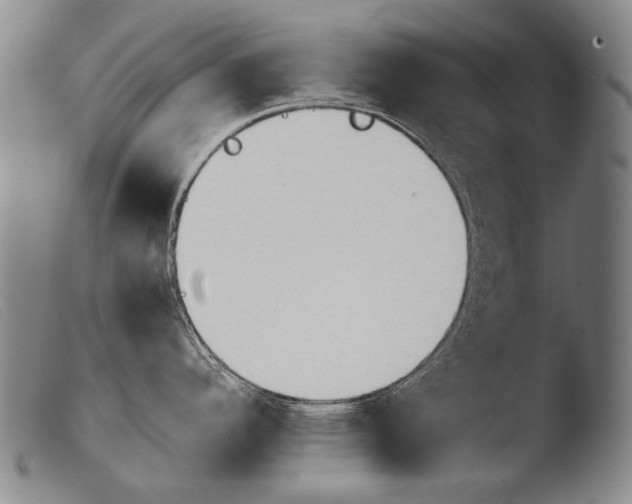 X0000103941296200810311516