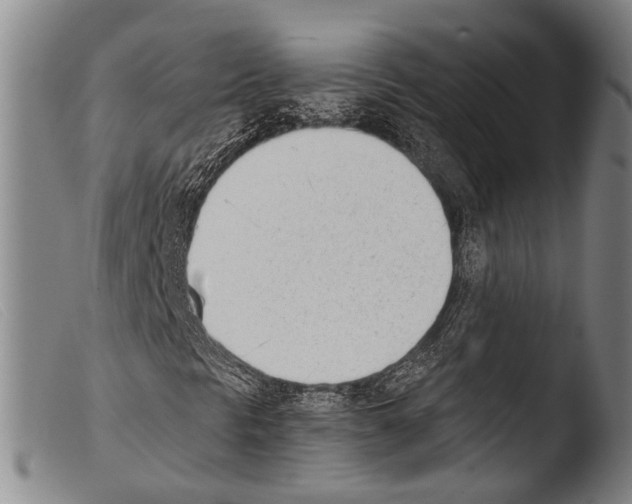 X0000103941297200810311516