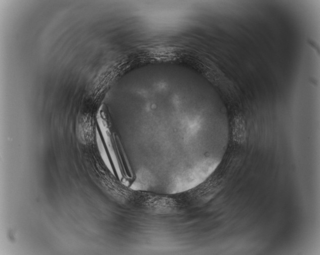 X0000103941298200810311516