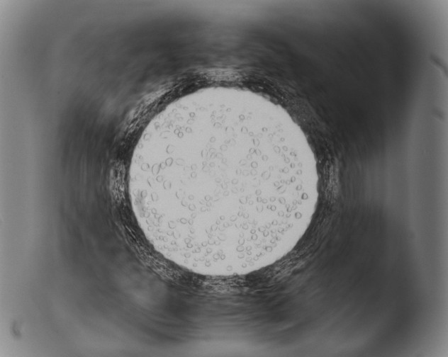 X0000103941301200810311516