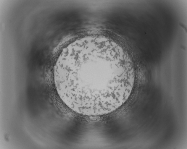 X0000103941304200810311516