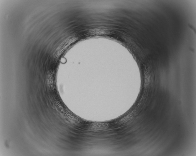 X0000103941305200810311516