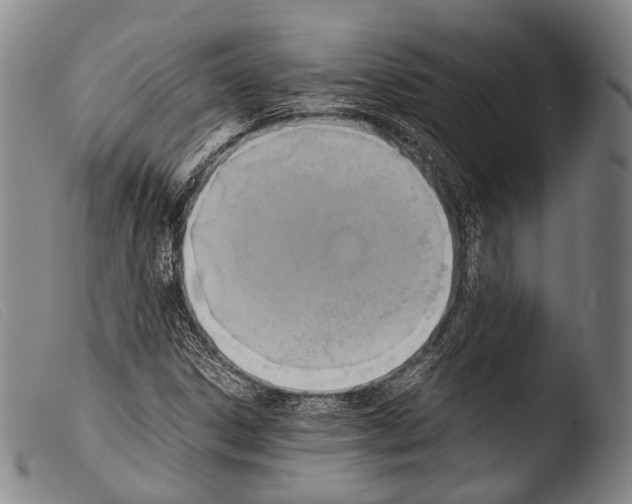 X0000103941306200810311516