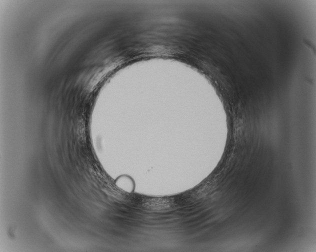 X0000103941307200810311516