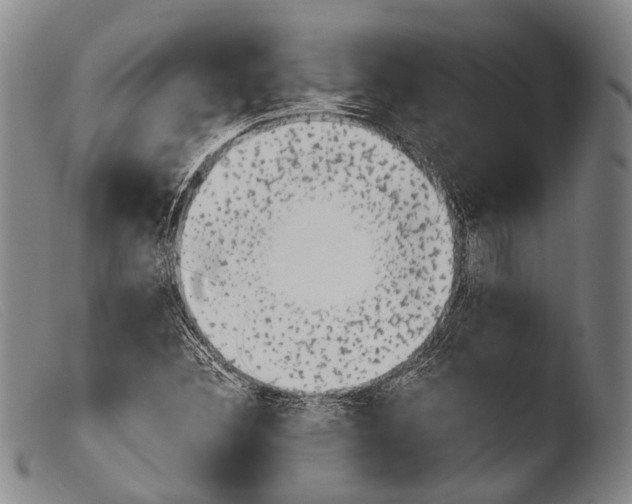 X0000103941308200810311516