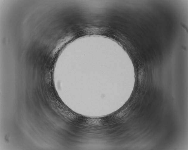 X0000103941309200810311516