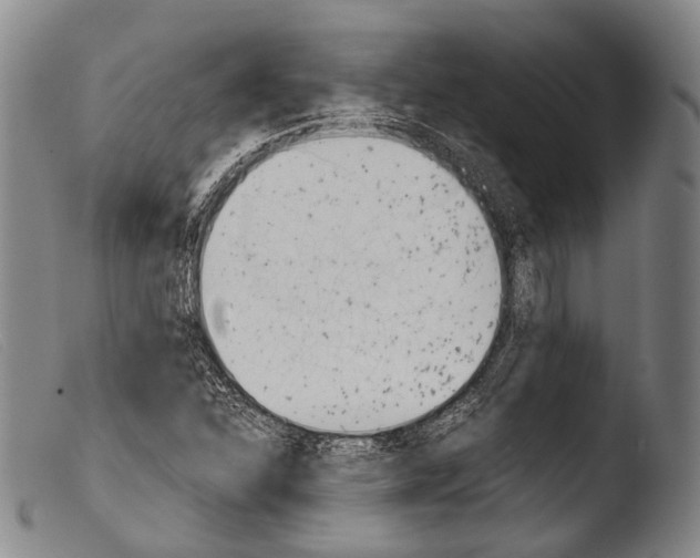 X0000103941310200810311516