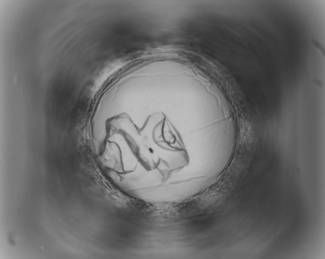 X0000103941312200810311516