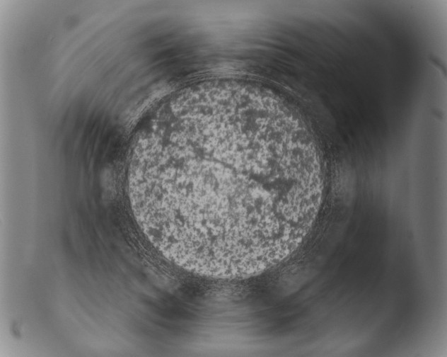 X0000103941314200810311516