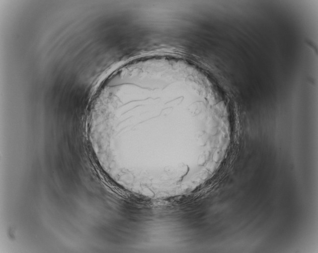 X0000103941316200810311516