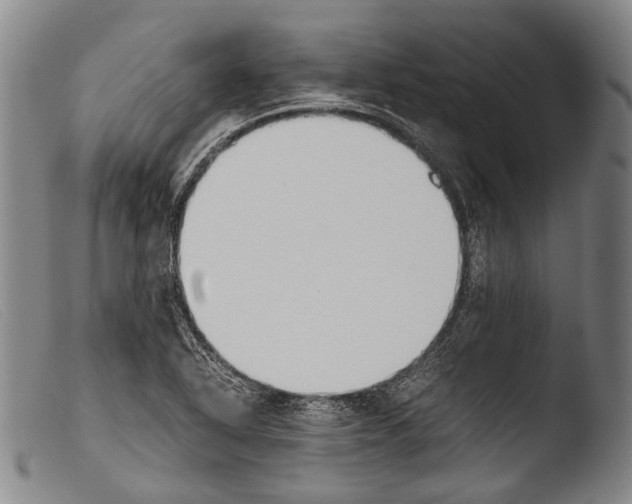 X0000103941318200810311516