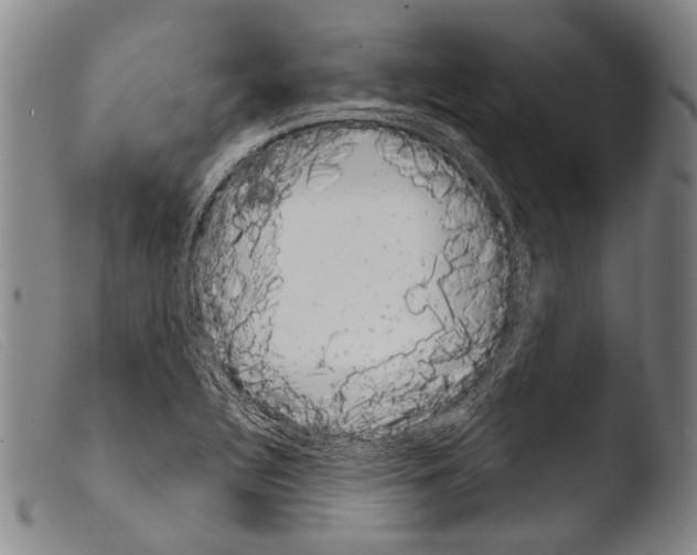 X0000103941320200810311516