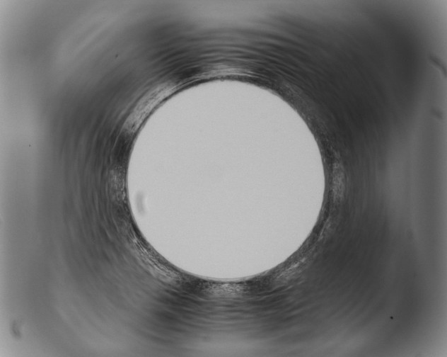 X0000103941321200810311516