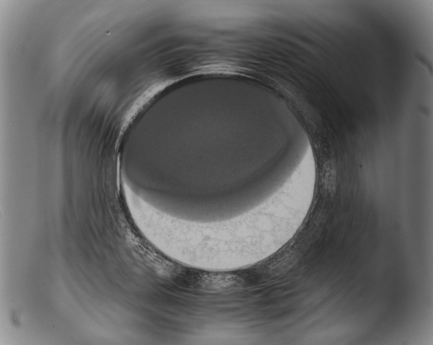 X0000103941323200810311516