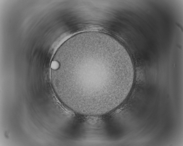 X0000103941324200810311516