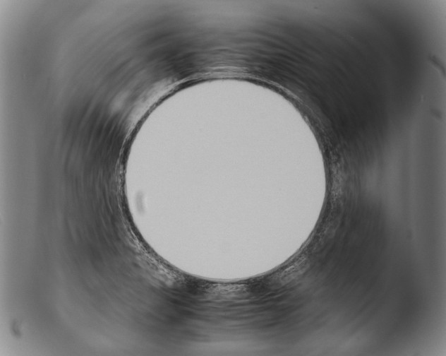 X0000103941325200810311516