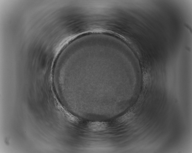 X0000103941327200810311516