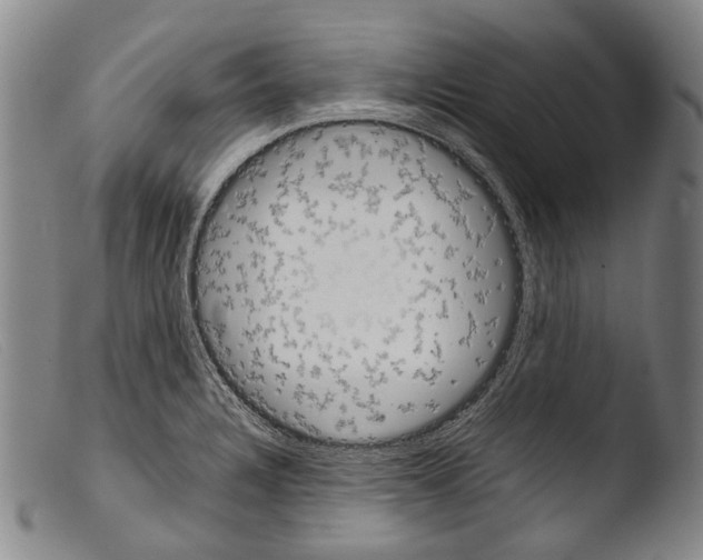 X0000103941328200810311516