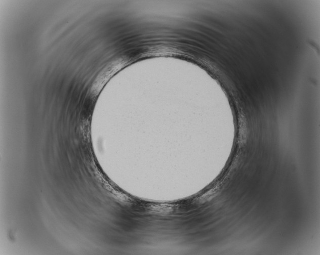 X0000103941329200810311516