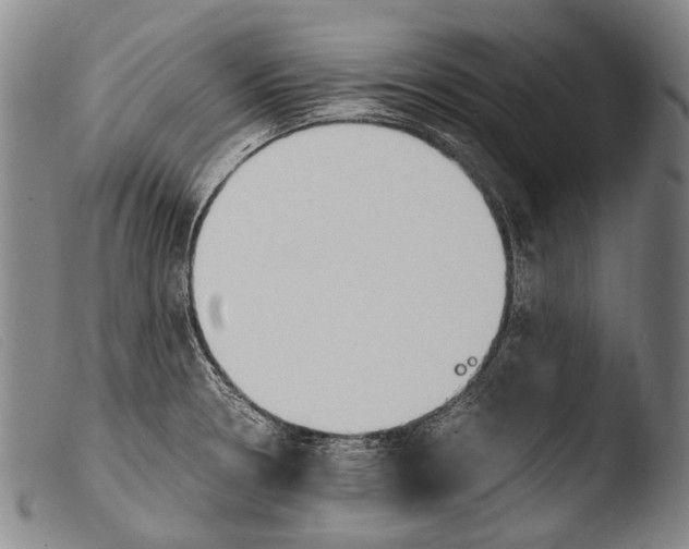 X0000103941330200810311516