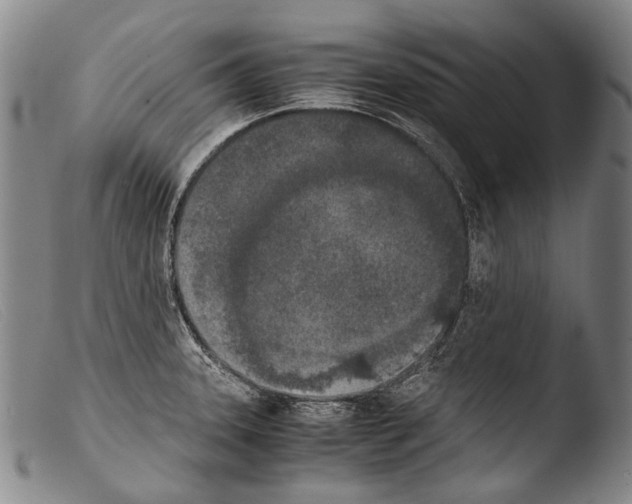 X0000103941331200810311516