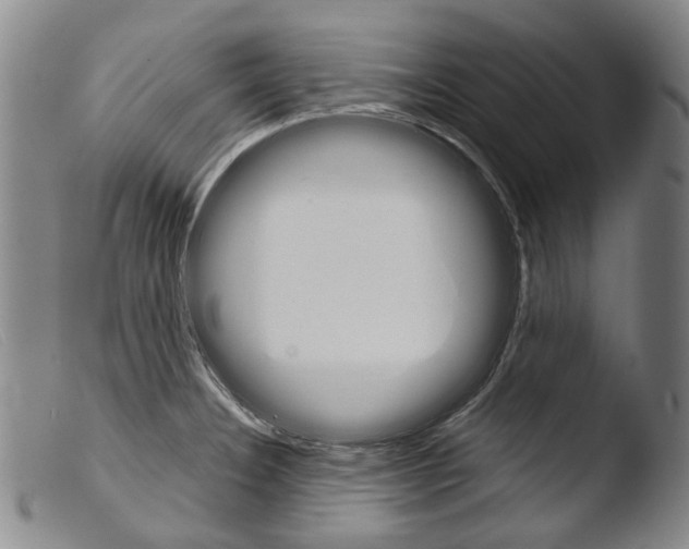 X0000103941332200810311516