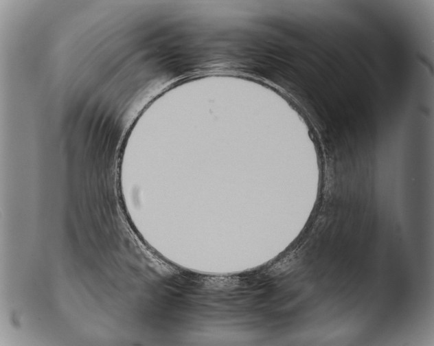 X0000103941333200810311516