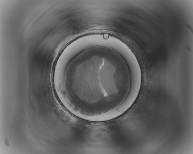 X0000103941334200810311516