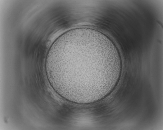 X0000103941336200810311516